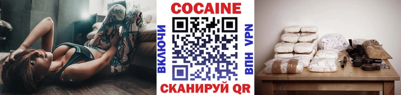 закладка  Игра  COCAIN Эквадор 