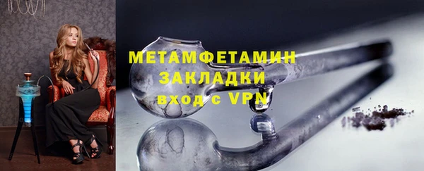 шишки Белокуриха