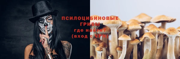 шишки Белокуриха