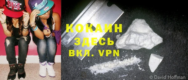 шишки Белокуриха