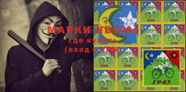 шишки Белокуриха