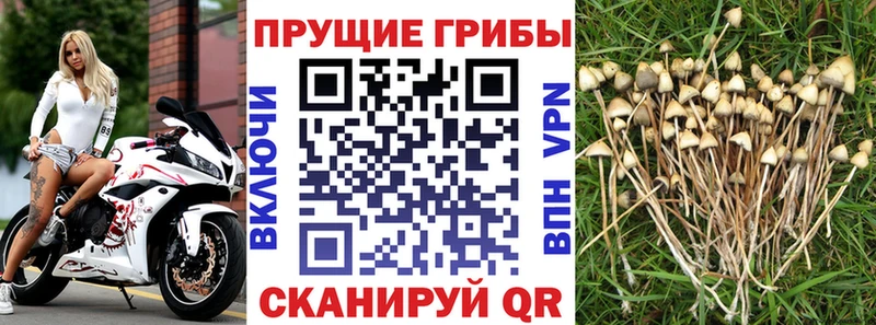Галлюциногенные грибы мухоморы  Игра 